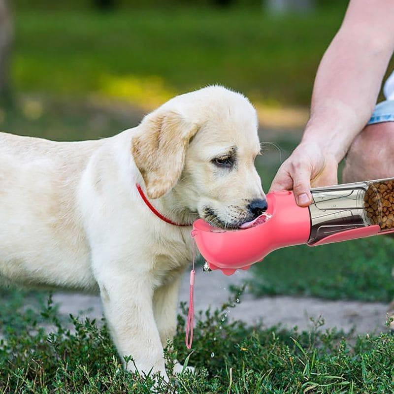Garrafa Multifuncional 3 em 1 para Pets