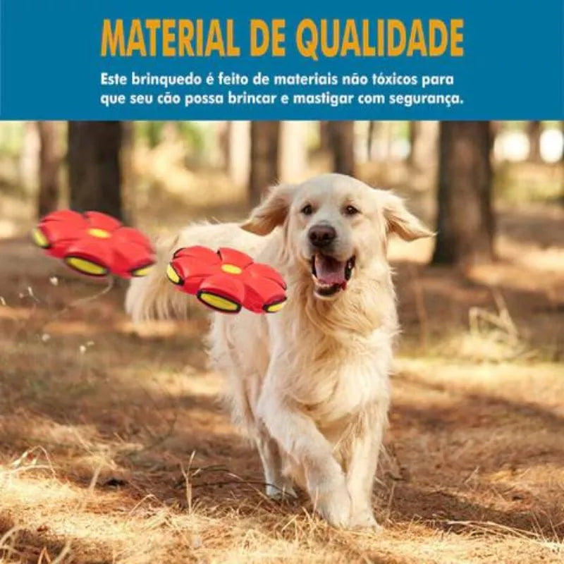 Flyball® Bola Voadora para Cães - Compre 1 leve 2
