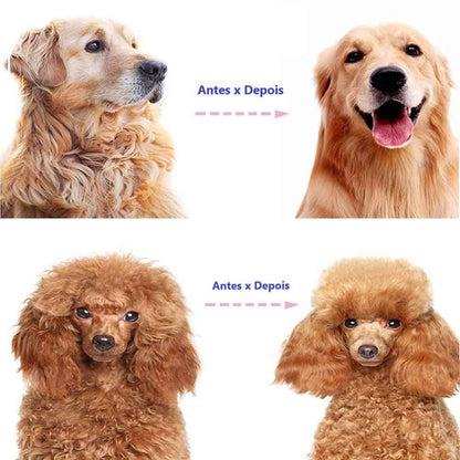 Escova Autolimpante PetLimpo™ - 2ª Geração (2023)