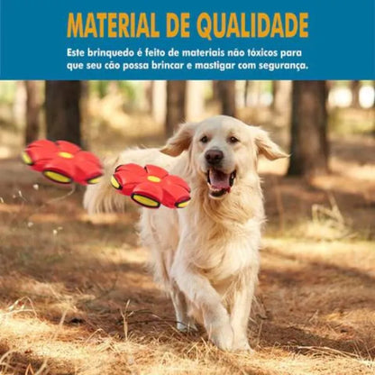 Flyball® Bola Voadora para Cães - Compre 1 leve 2