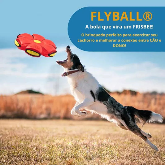 Flyball® Bola Voadora para Cães - Compre 1 leve 2